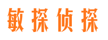 蓝山捉小三公司